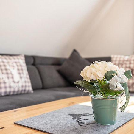 Schwarzwaldnest Apartment Bad Wildbad Luaran gambar