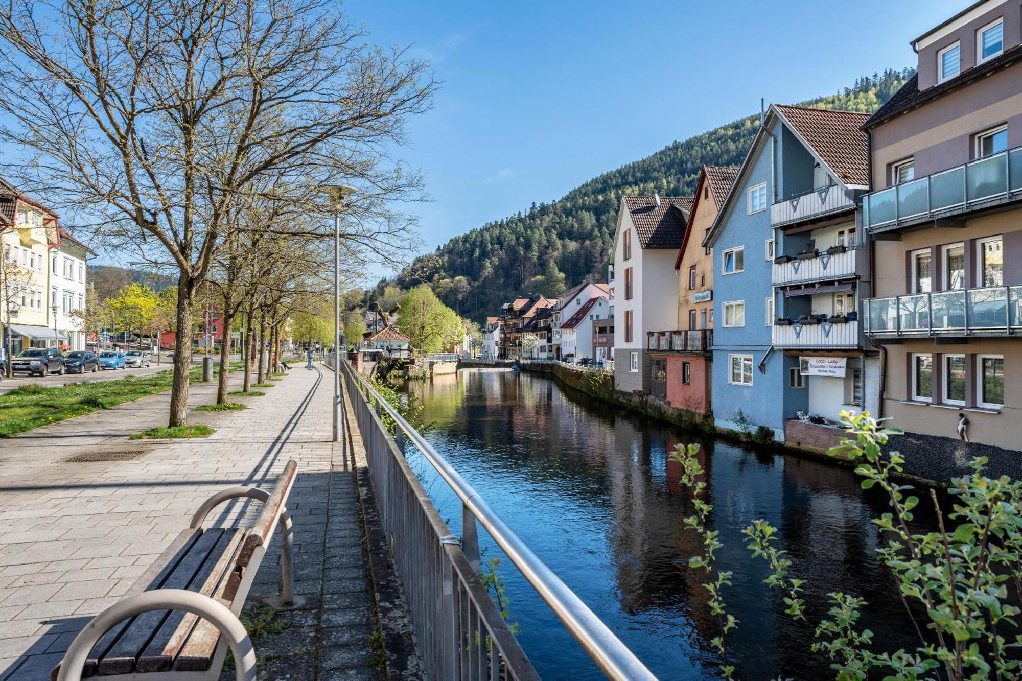 Schwarzwaldnest Apartment Bad Wildbad Luaran gambar